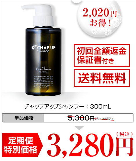 チャップアップ ロフト